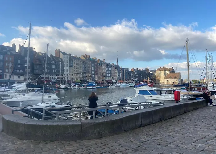 公寓 Aux Jardins Fleuris 翁弗勒尔