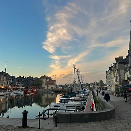 Daire Aux Jardins Fleuris Honfleur